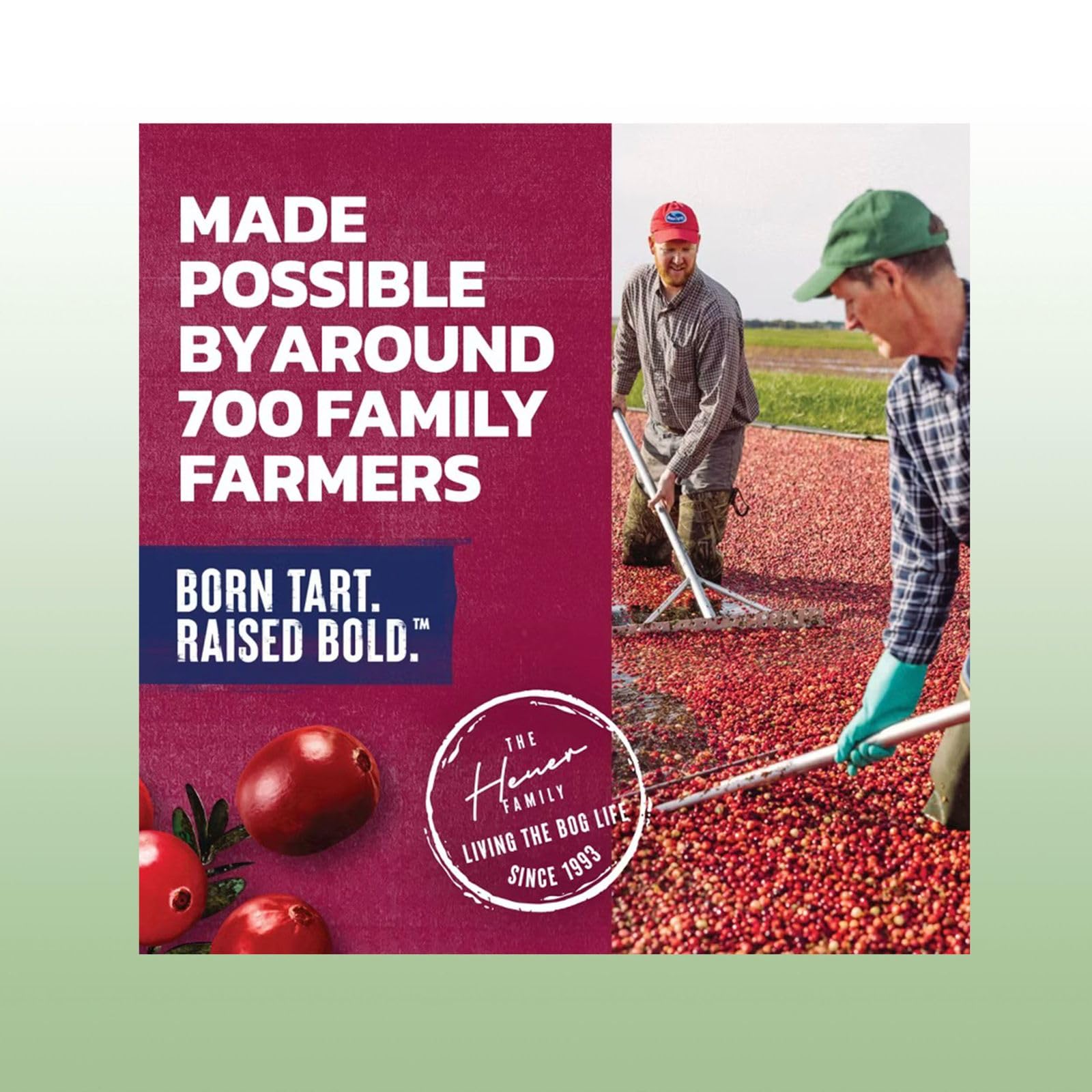 Ocean Spray Cranberry 100% Juice Drink 101.4 fl oz Plastic Bottle 2 Pack - Image 4