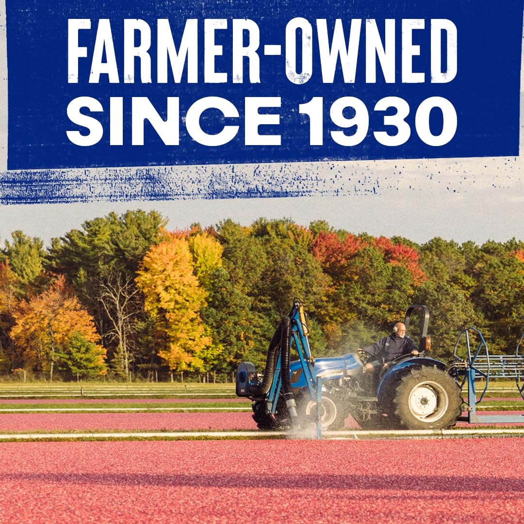 Ocean Spray Gluten Free Whole Berry Cranberry Sauce, 14 Ounce Cans (Pack of 24) - Image 6